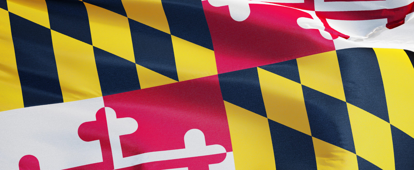 Maryland Strong Economic Recovery Initiative