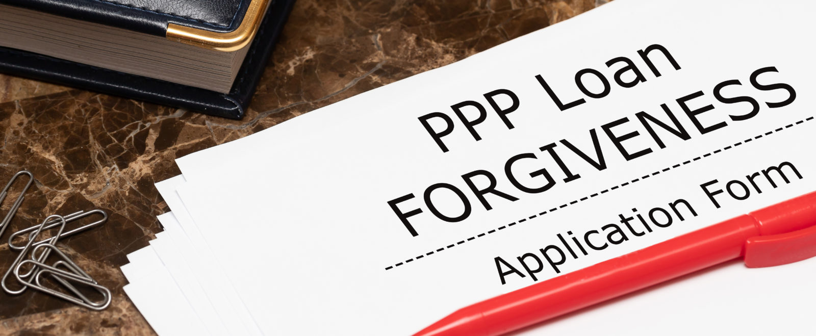 PPP loan forgiveness application