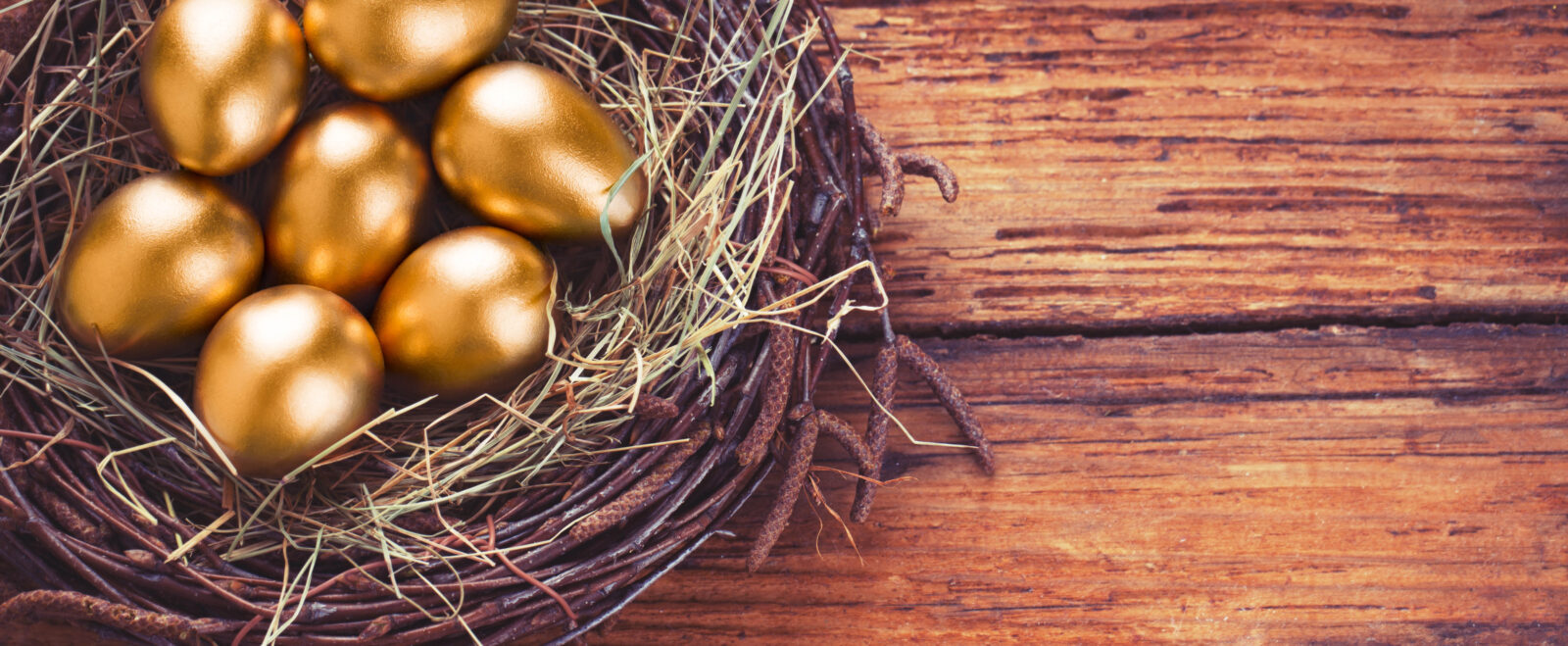 employee benefit plan audit